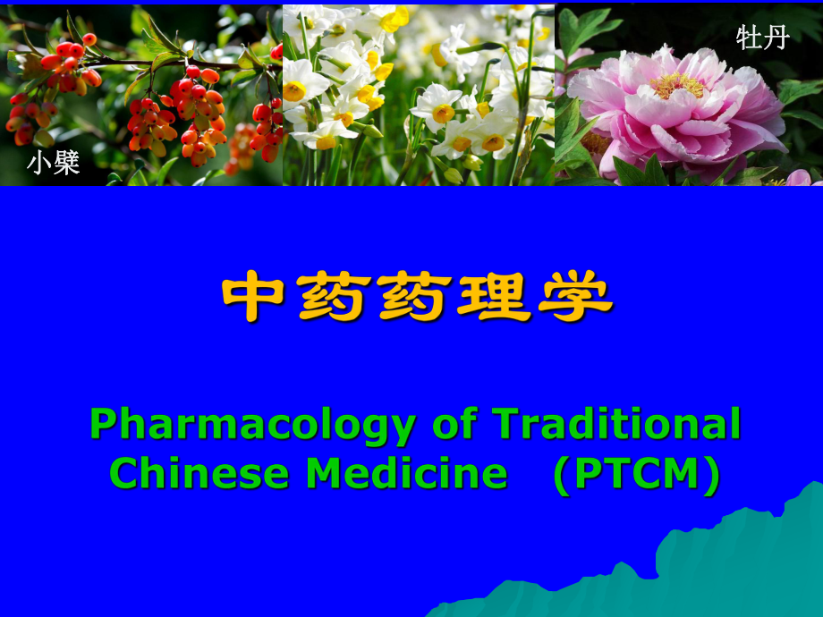 第1中药药理概述课件.ppt_第1页