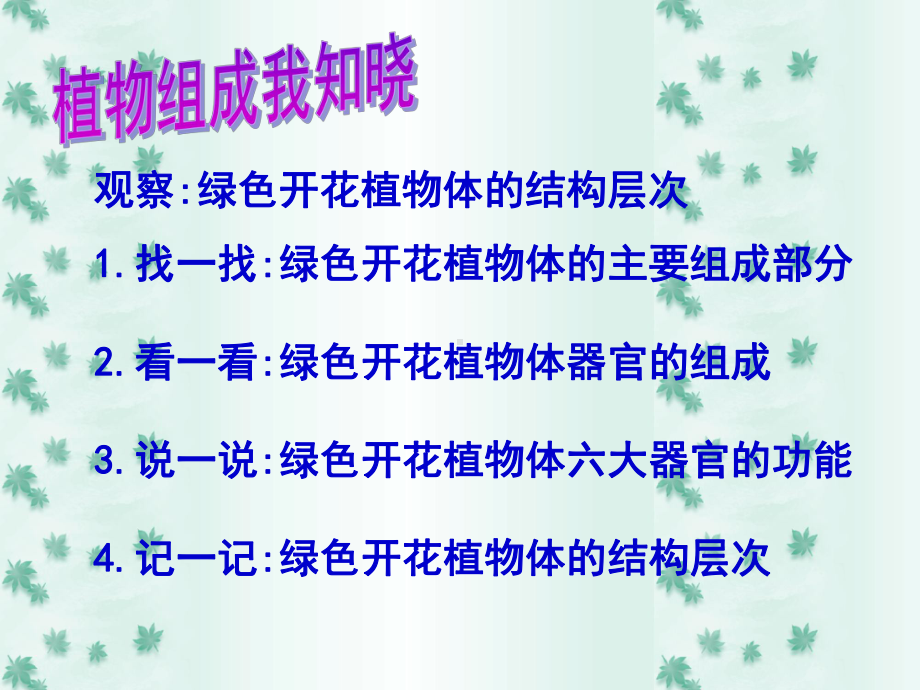 仔细观察绿色开花植物体课件.ppt_第2页