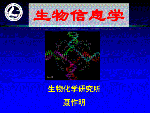 生物信息学绪论课件.ppt