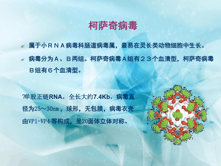 柯萨奇病毒的RTPCR试验课件.ppt_第2页