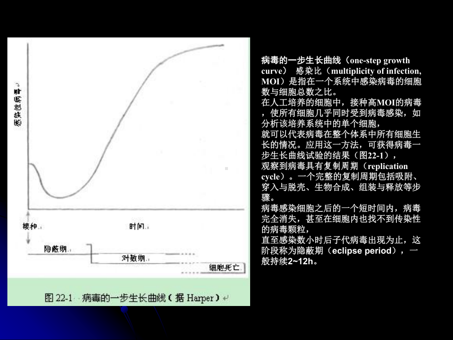 第三讲病毒的遗传变异课件.ppt_第1页