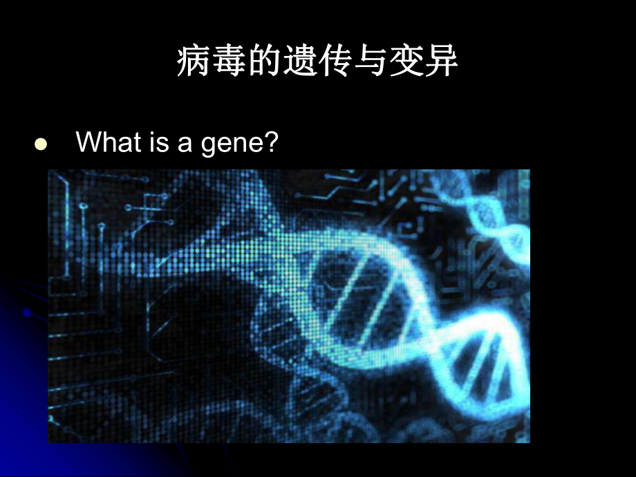 第三讲病毒的遗传变异课件.ppt_第2页