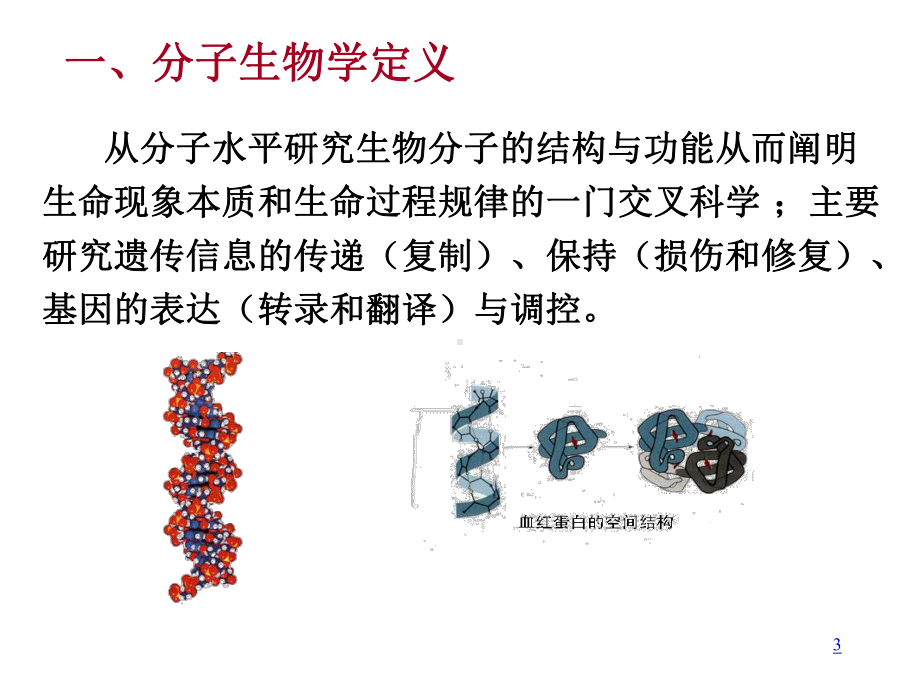 分子生物学概论基因、基因组和基因组学课件.ppt_第3页