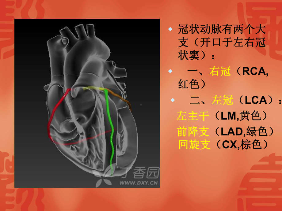 冠脉盖殿秀课件.ppt_第3页