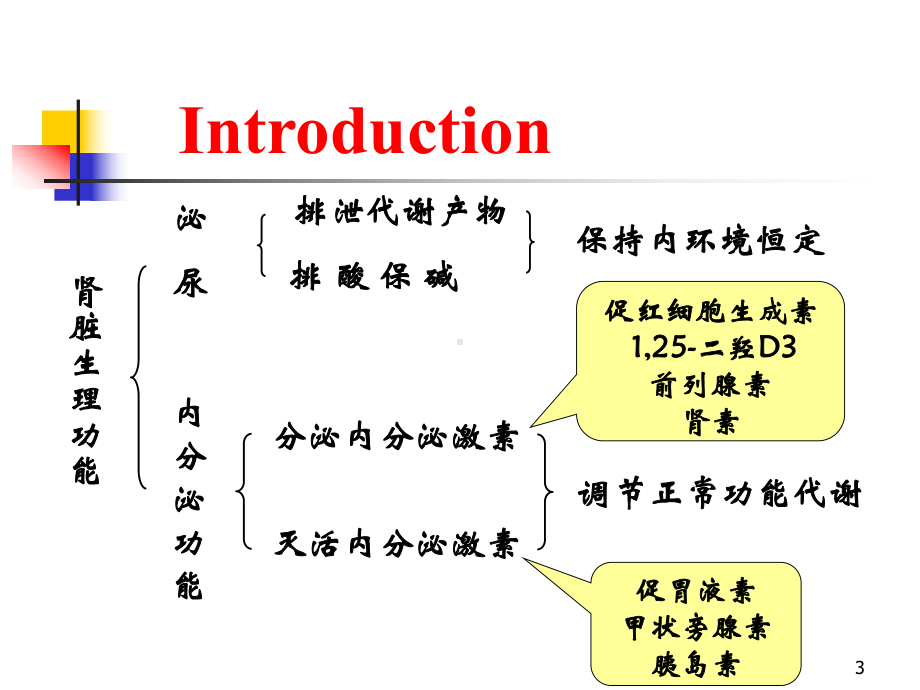 肾功能不全学时 课件.ppt_第3页