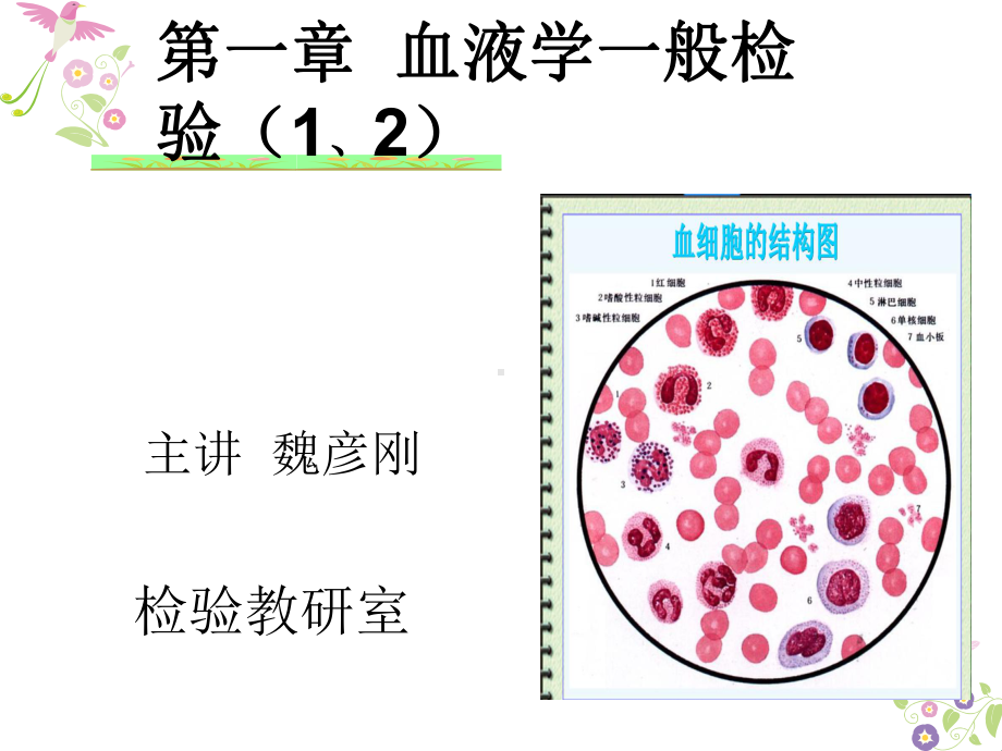 模块一标本采集、血涂片制备与染色课件.ppt_第1页