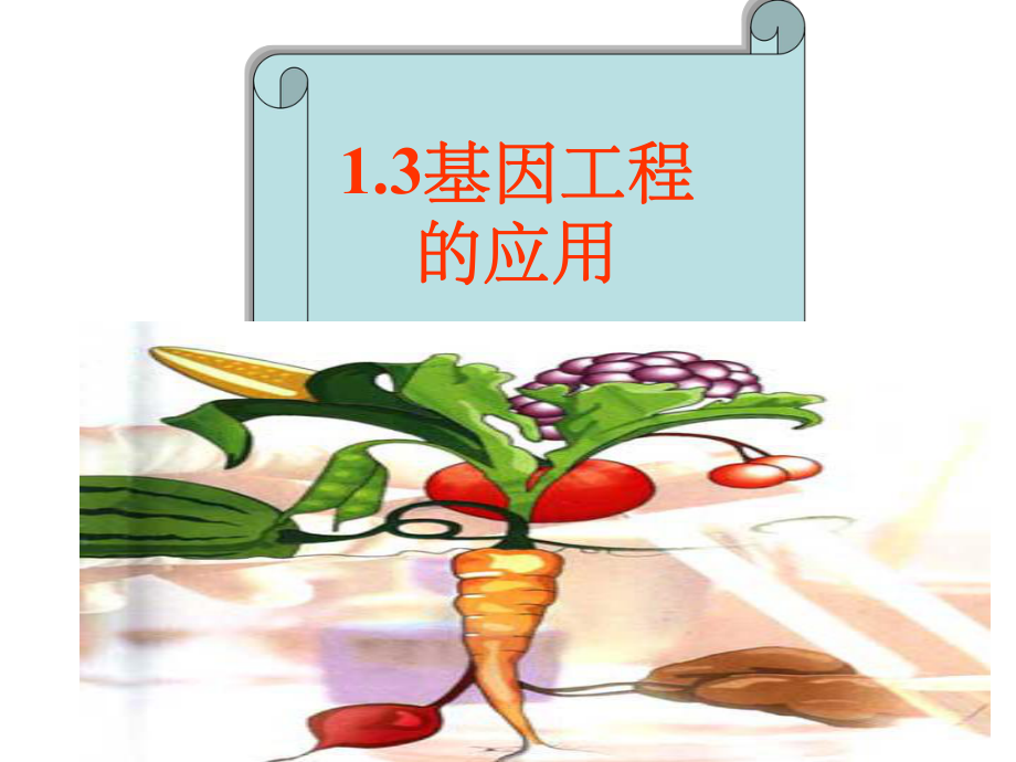 人教版教学课件13基因工程的应用.ppt_第1页