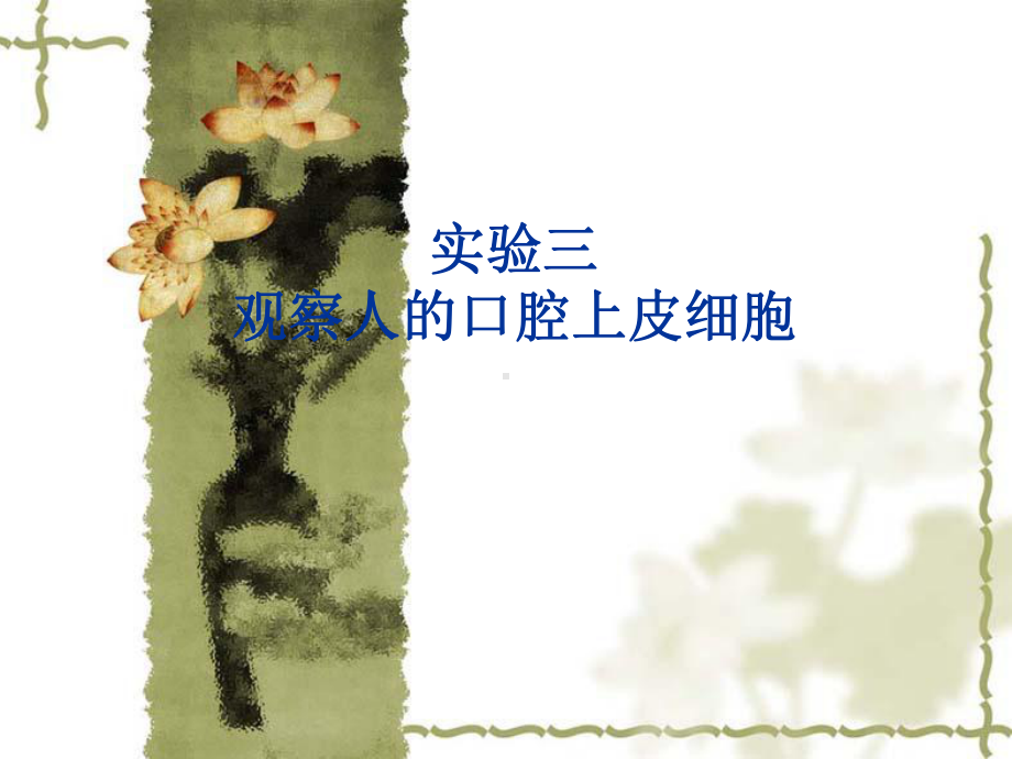 观察人的口腔上皮细胞学习资料课件.ppt_第1页