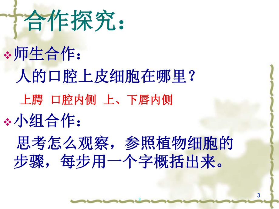 观察人的口腔上皮细胞学习资料课件.ppt_第3页