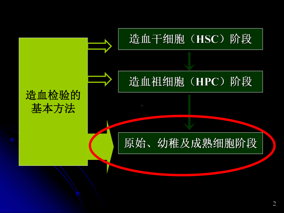 临床血液学检验17造血检验基本方法1血象和骨髓象检验课件.ppt_第2页