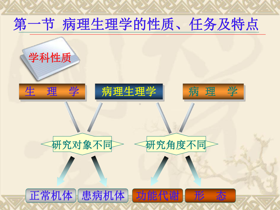 病生绪论、水电2015课件.ppt_第3页