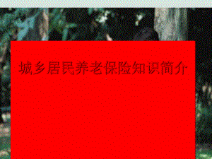 城乡居民养老保险管理知识及业务管理简介课件.ppt