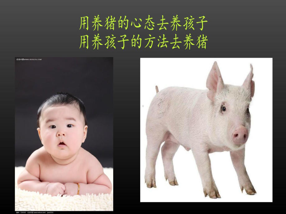 微生物发酵饲料的生产与应用课件.ppt_第2页