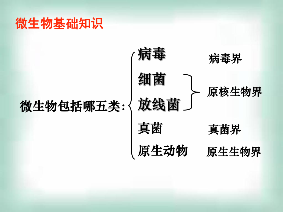 人教选修一21微生物的实验室培养课件第一课时2.ppt_第3页