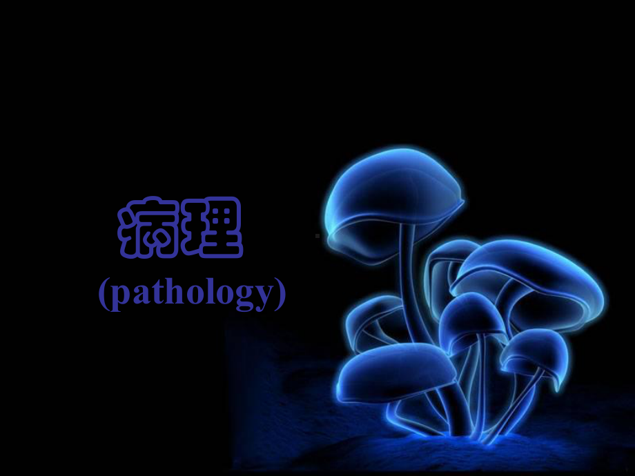 星形细胞肿瘤昆明医学院课件.ppt_第3页