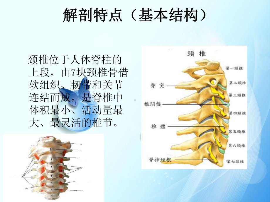 李婷婷颈椎病课件.ppt_第3页