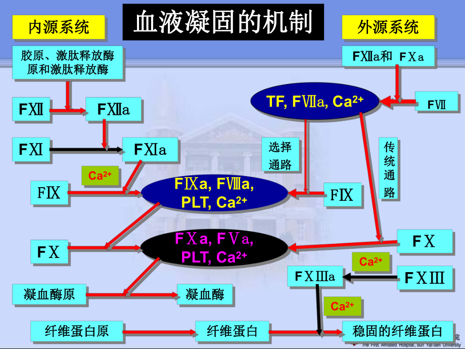 弥散性血管内凝血1课件.ppt_第2页