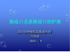 造口护理肿瘤专科护士培训2014年9月最终版课件.ppt