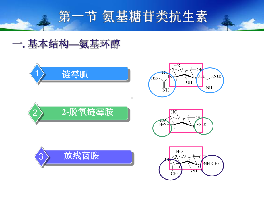 章氨基糖苷及多粘菌素课件.ppt_第3页