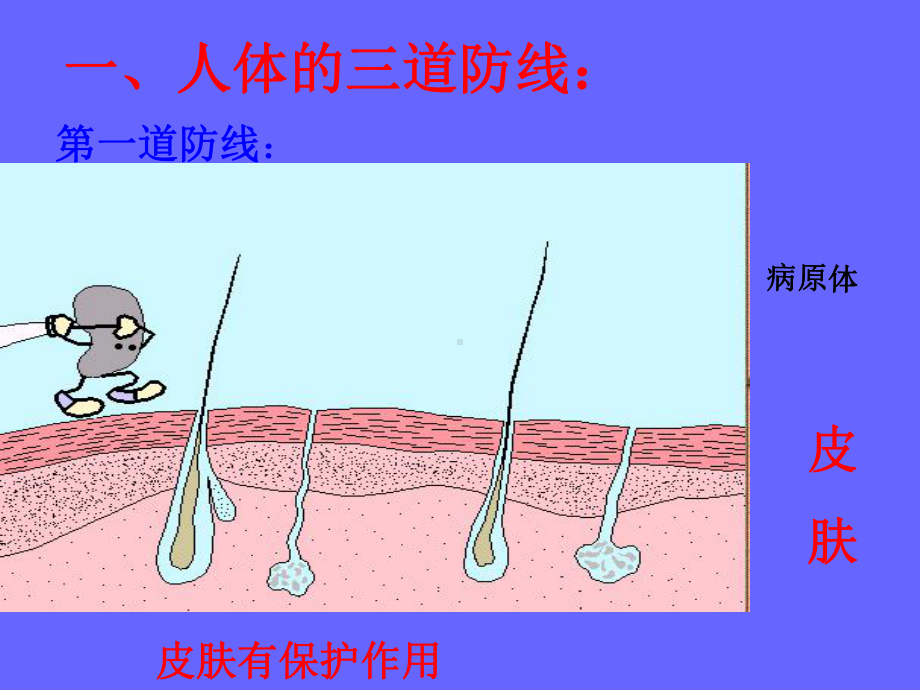 免疫和传染病罗村中学董奎玺课件.ppt_第3页