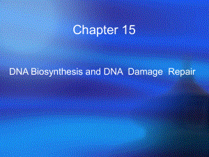 生物化学课件DNA的生物合成和损伤修复DNA.ppt