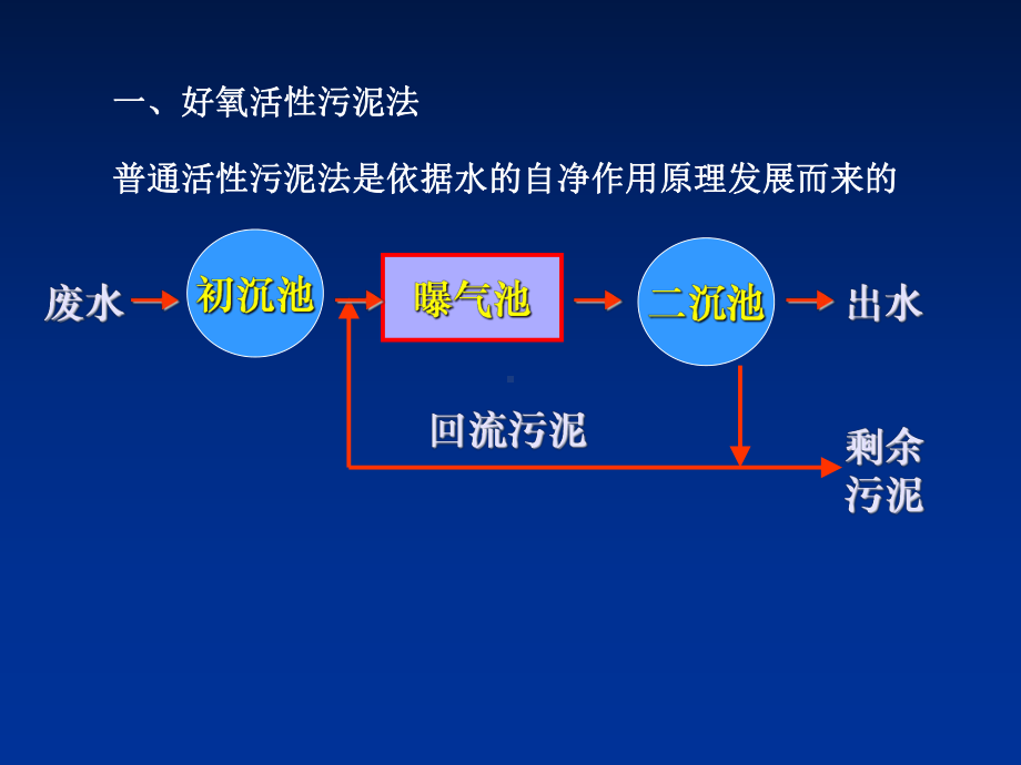 水污染控制与治理的生态工程及微生物学课件.ppt_第3页