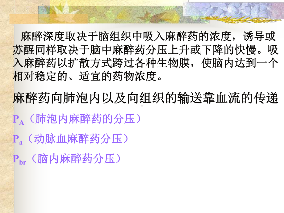 吸入麻醉药的药动学与药效学课件.ppt_第3页