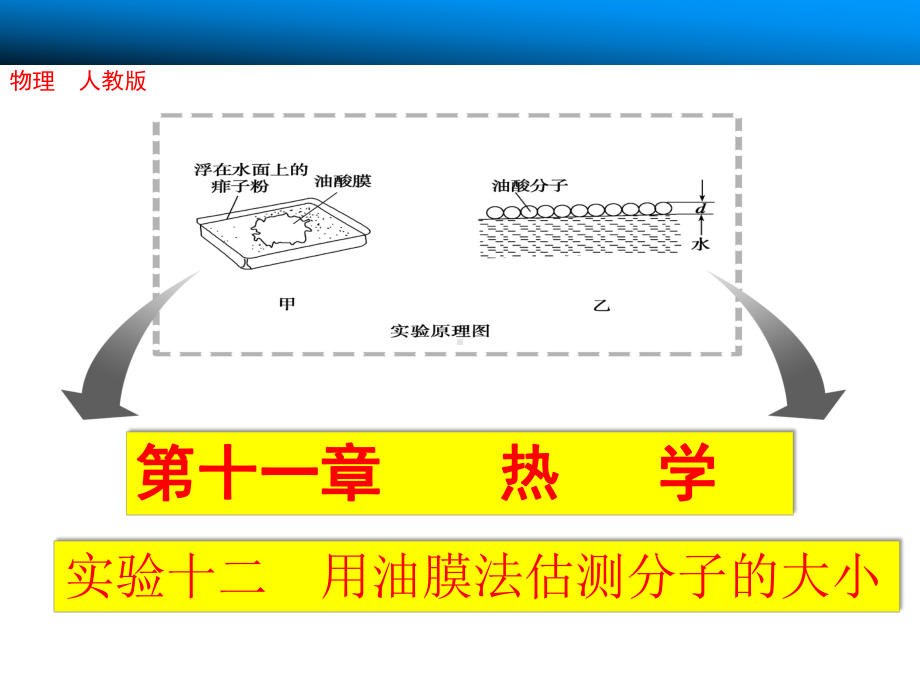 实验用油膜法估测分子的大小课件讲义.ppt_第1页