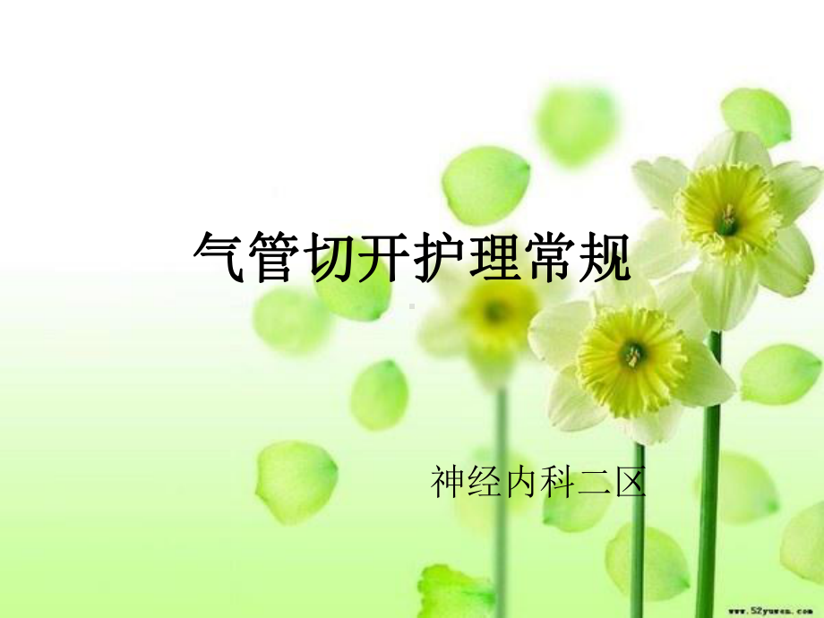 气管切开护理常规课件.ppt_第1页