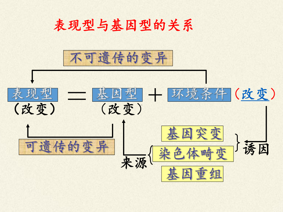 浙教版高中生物必修染色体畸变可能引起性状改变课件.pptx_第2页