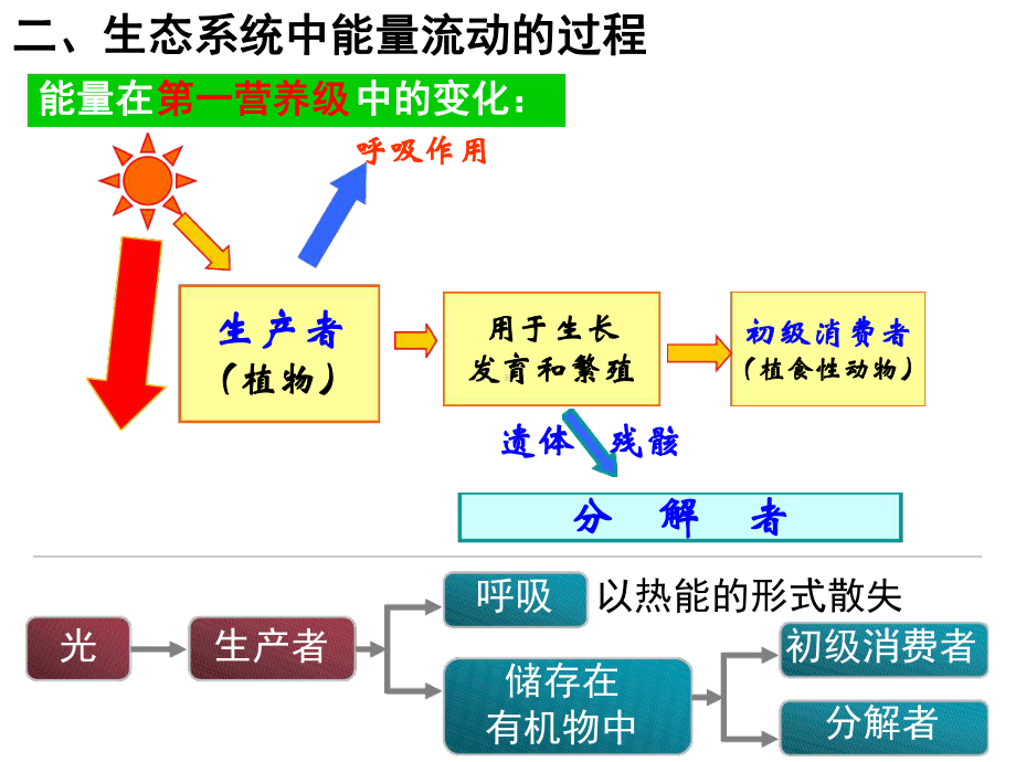 生态系统的三大功能课件.ppt_第3页