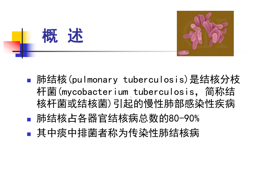 肺结核 教学讲解课件.ppt_第3页