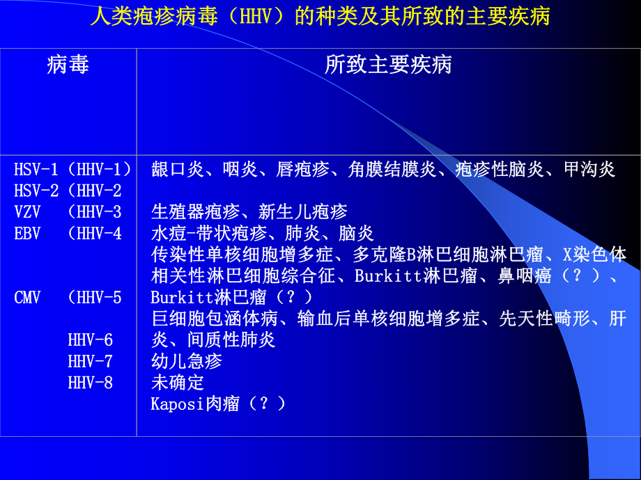 第38章疱疹病毒2010春谷版课件.ppt_第3页