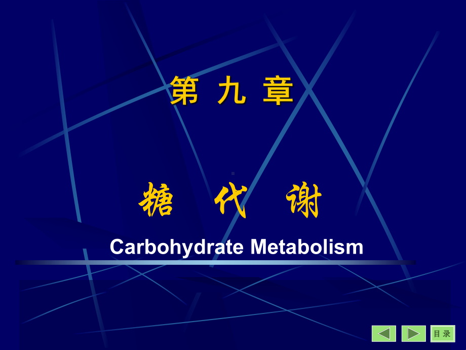 糖 代 谢生物化学与分子生物学课件.ppt_第1页