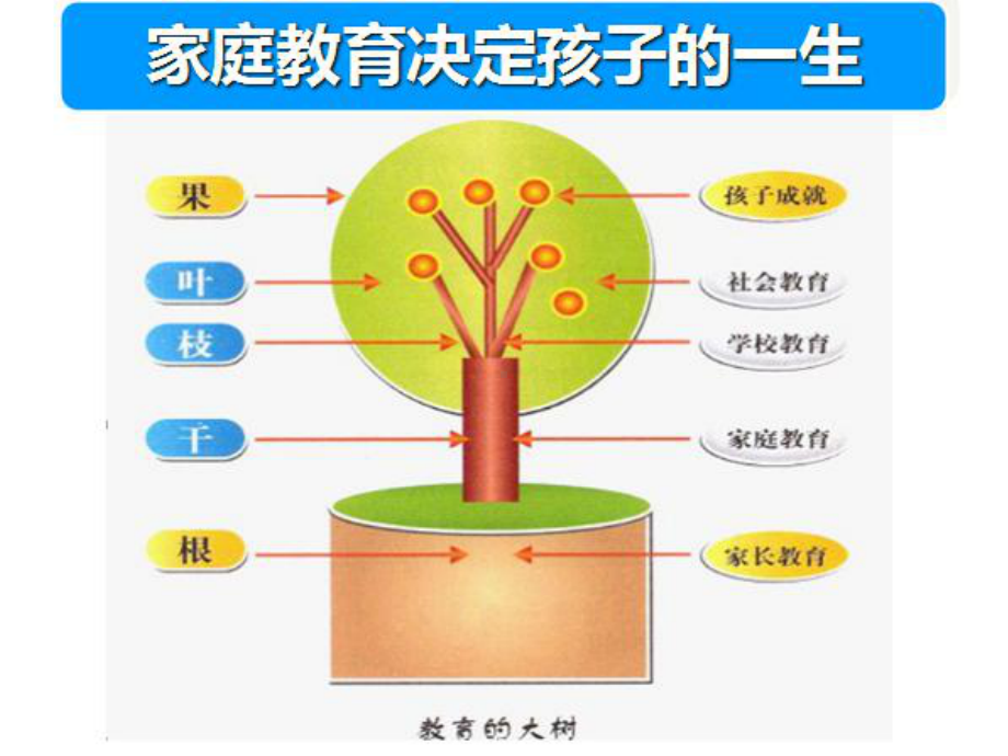 孩子成长规律和关键期教育教学课件.ppt_第2页