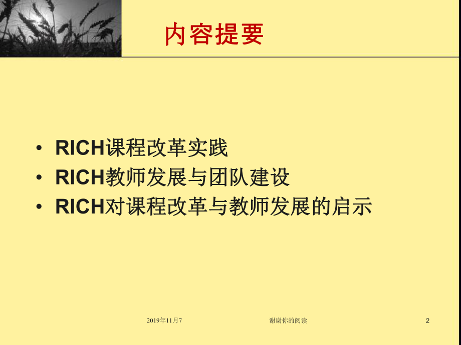 浙江师大RICH课程实践与教师发展课件.pptx_第2页