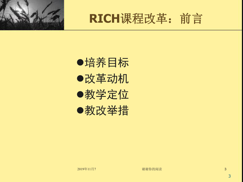 浙江师大RICH课程实践与教师发展课件.pptx_第3页