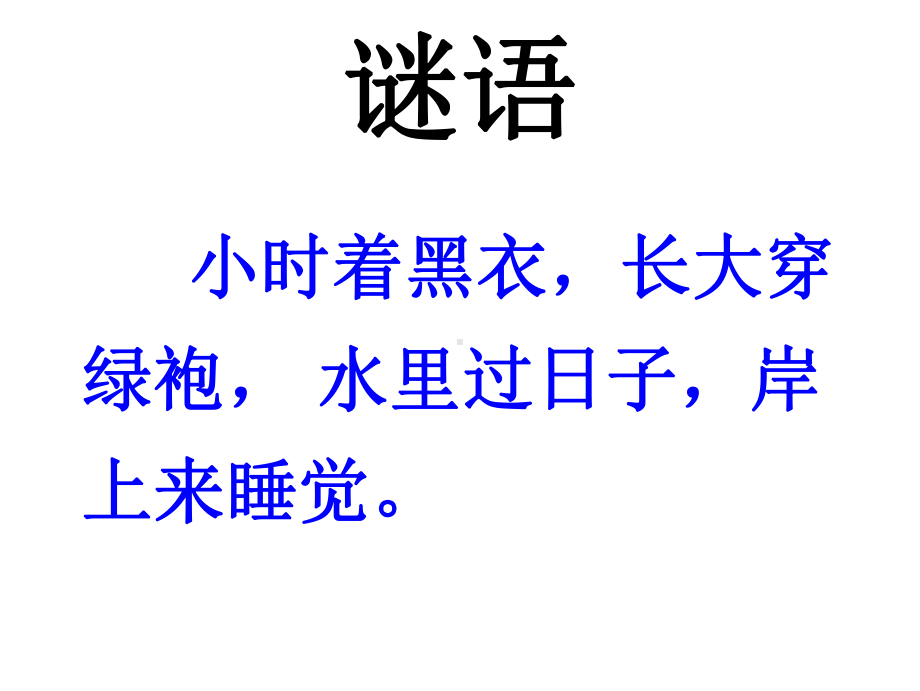 苏教版语文三下习作六《谈谈自己的看法》课件.ppt_第3页