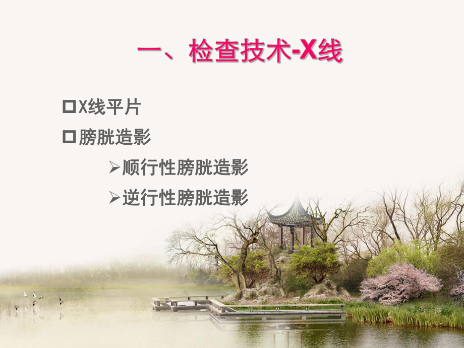 泌尿生殖影像诊断课件.ppt_第3页