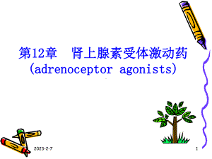 第12章肾上腺素受体激动药课件.ppt