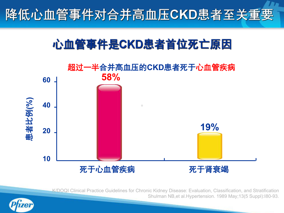 络活喜肾内科科会（课件）.ppt_第2页