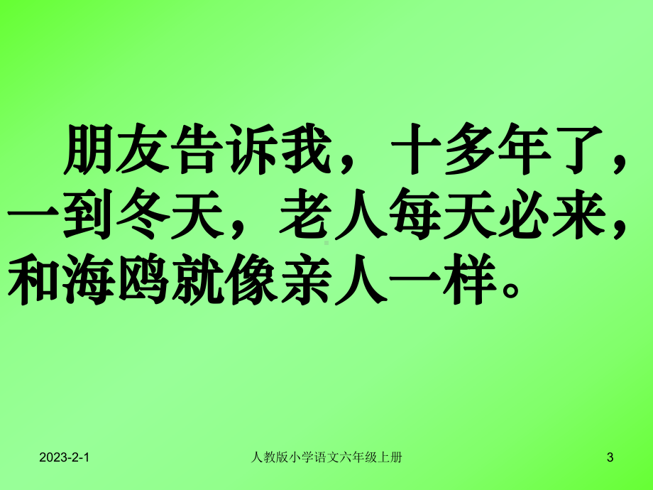 人教版小学语文六年级上册老人与海鸥课件.ppt_第3页