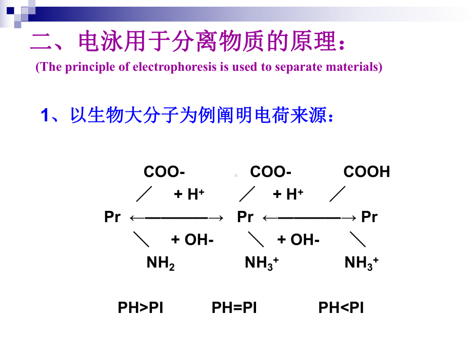 电泳技术昆明医科大学课件.ppt_第3页