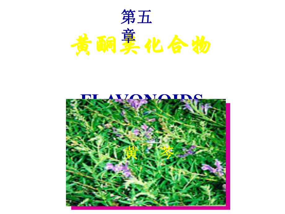 天然药物化学黄酮类(并茂)课件.ppt_第1页