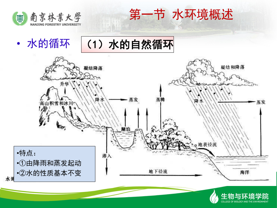 环境科学导论水环境课件.ppt_第3页