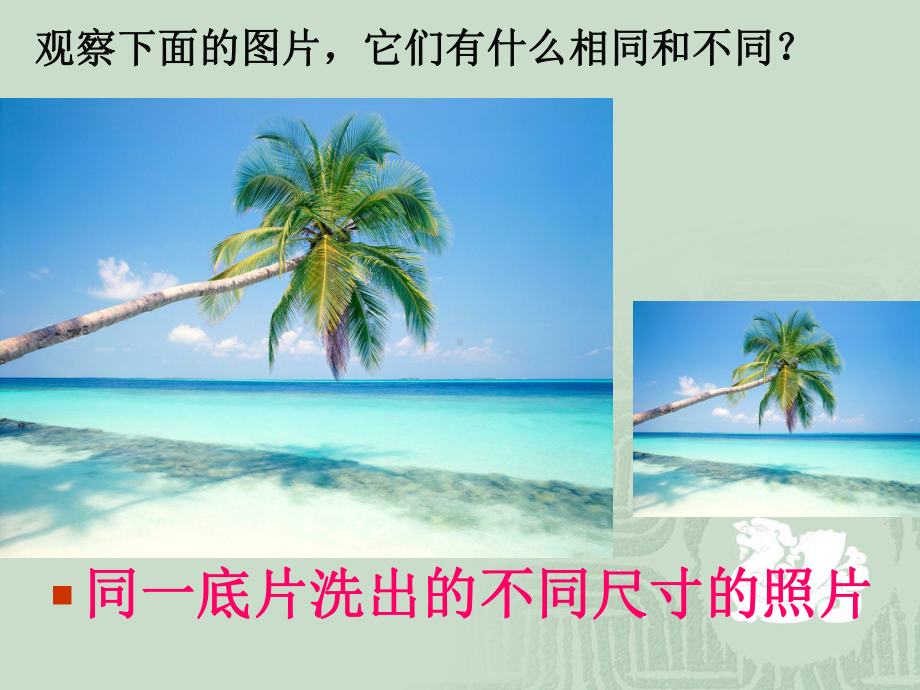 相似图形及比例线段概念课件.ppt_第3页