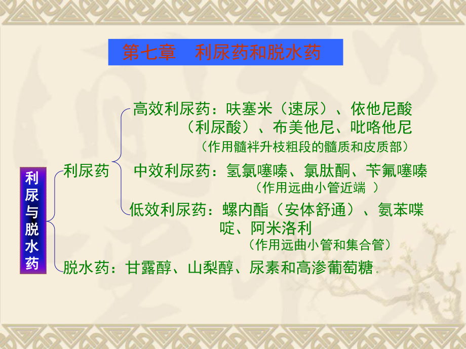 第七章利尿药与脱水药课件.ppt_第2页