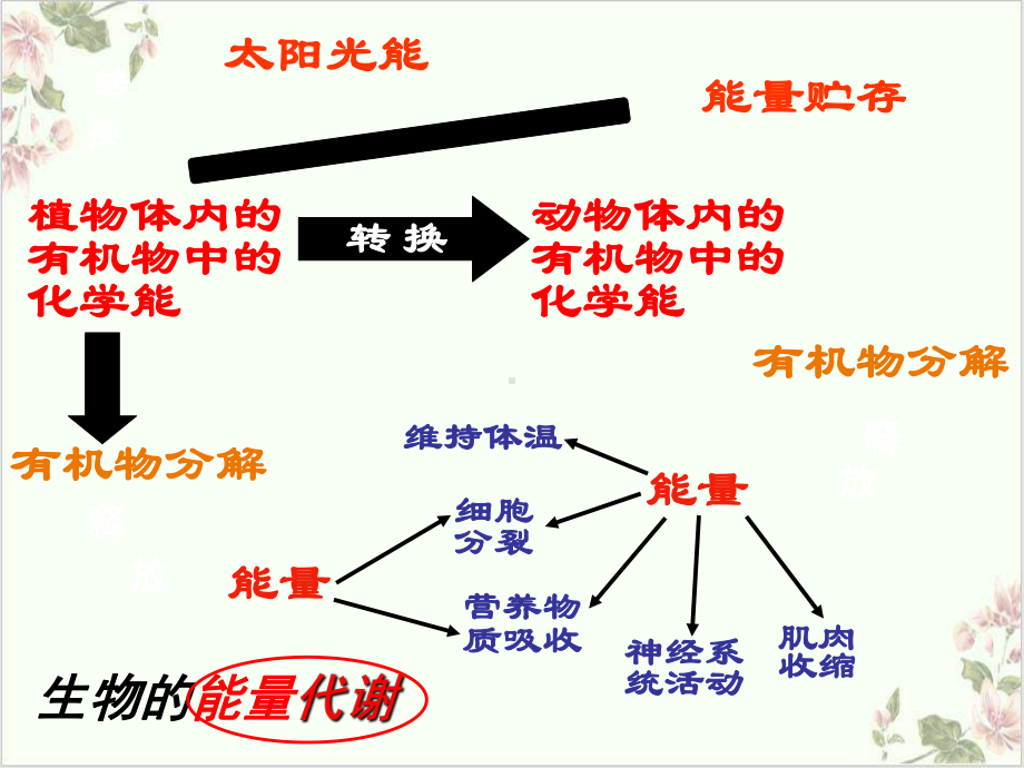 代谢的多样性—浙教版九级科学上册课件-讲义.ppt_第2页