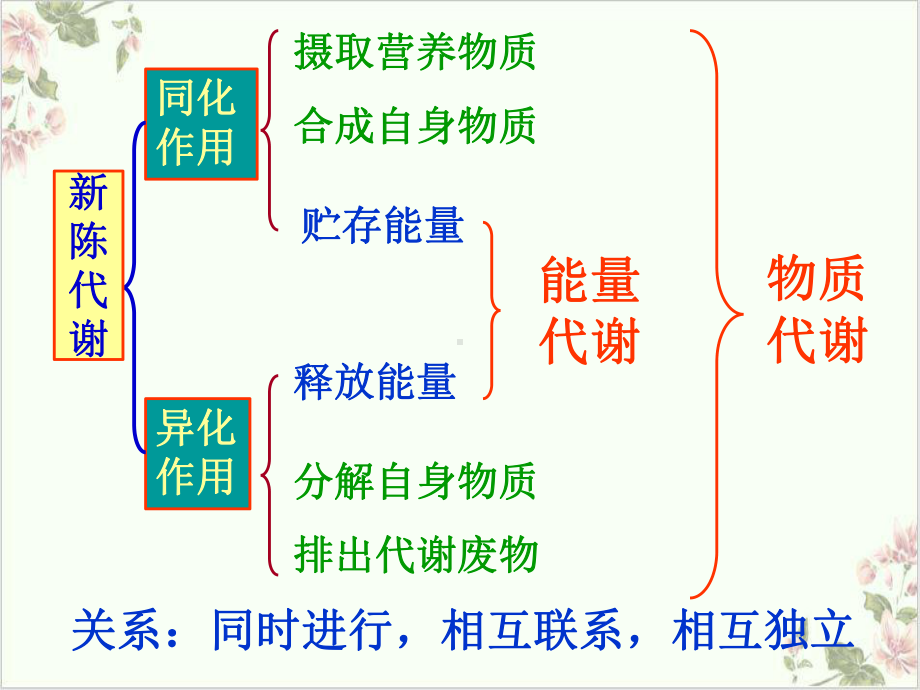 代谢的多样性—浙教版九级科学上册课件-讲义.ppt_第3页