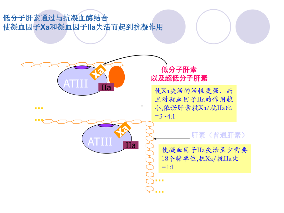 所有的低分子肝素都相同吗基础医学医药卫生专业资料课件.ppt_第3页